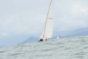 regata-488