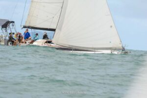 regata-548