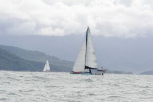 regata-589